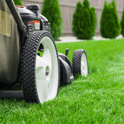 Lawn Mowing