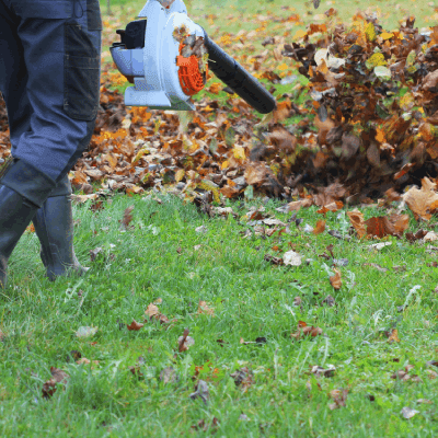 Yard Cleanup